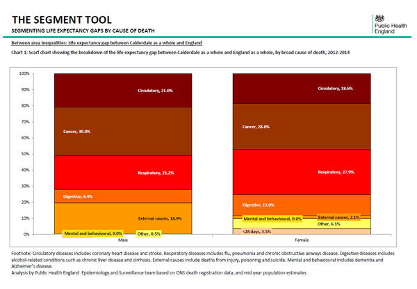 Segmenting life expectancy gaps by cause of death