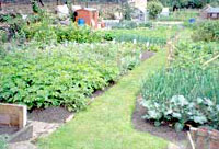 Allotment