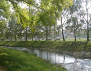 Parkland and stream, Volyne