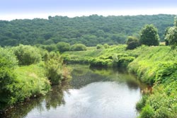 Cromwell Bottom