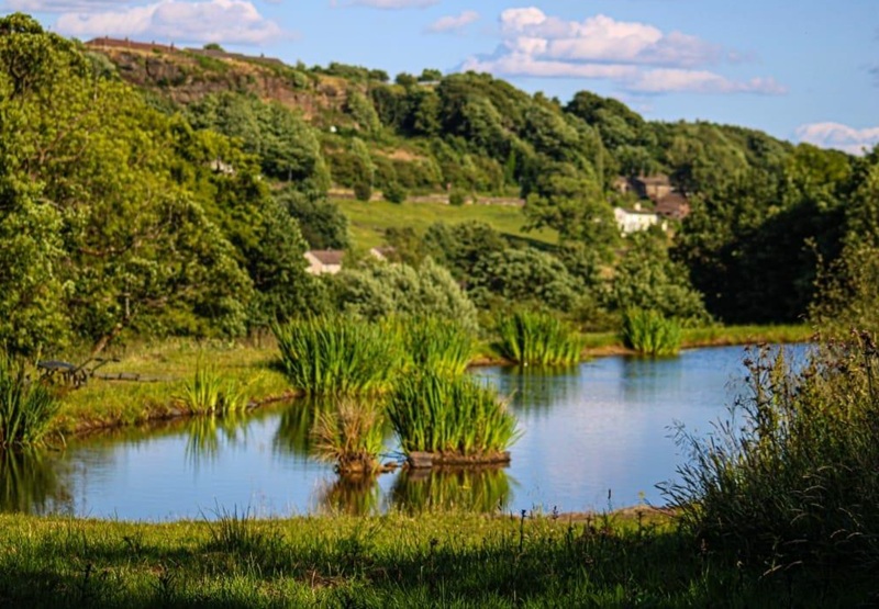 Fishing pond in Mixenden